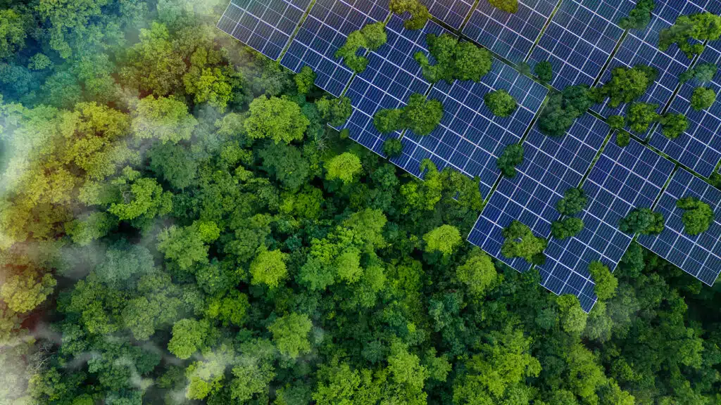 Aerial view of solar panels installed among dense green trees in a forest setting, highlighting renewable energy and nature coexisting.